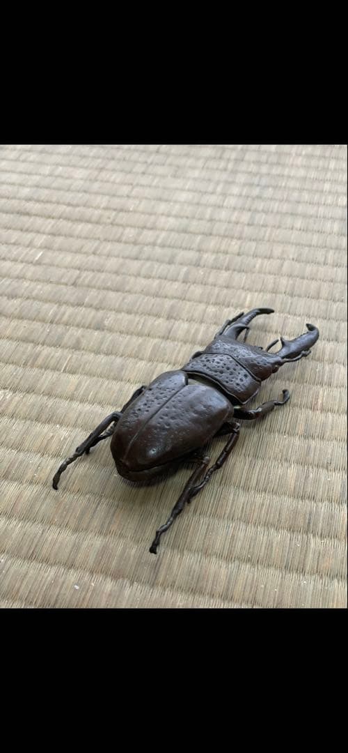 銅製　鍬形　金属工芸品