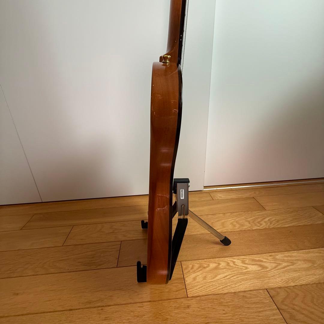 Cordoba（コルドバ） エレアコ・ナイロン弦ギター