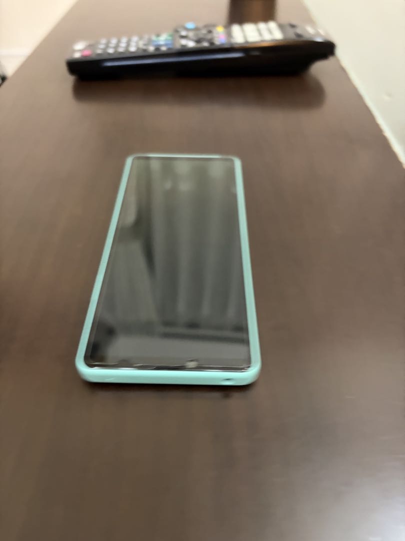 SONY Xperia Ⅳ ミント 本体