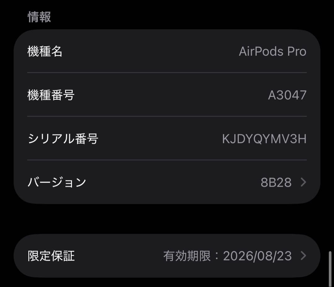2025年7月AirPods Pro (第2世代) 本体 TYPE Cモデル