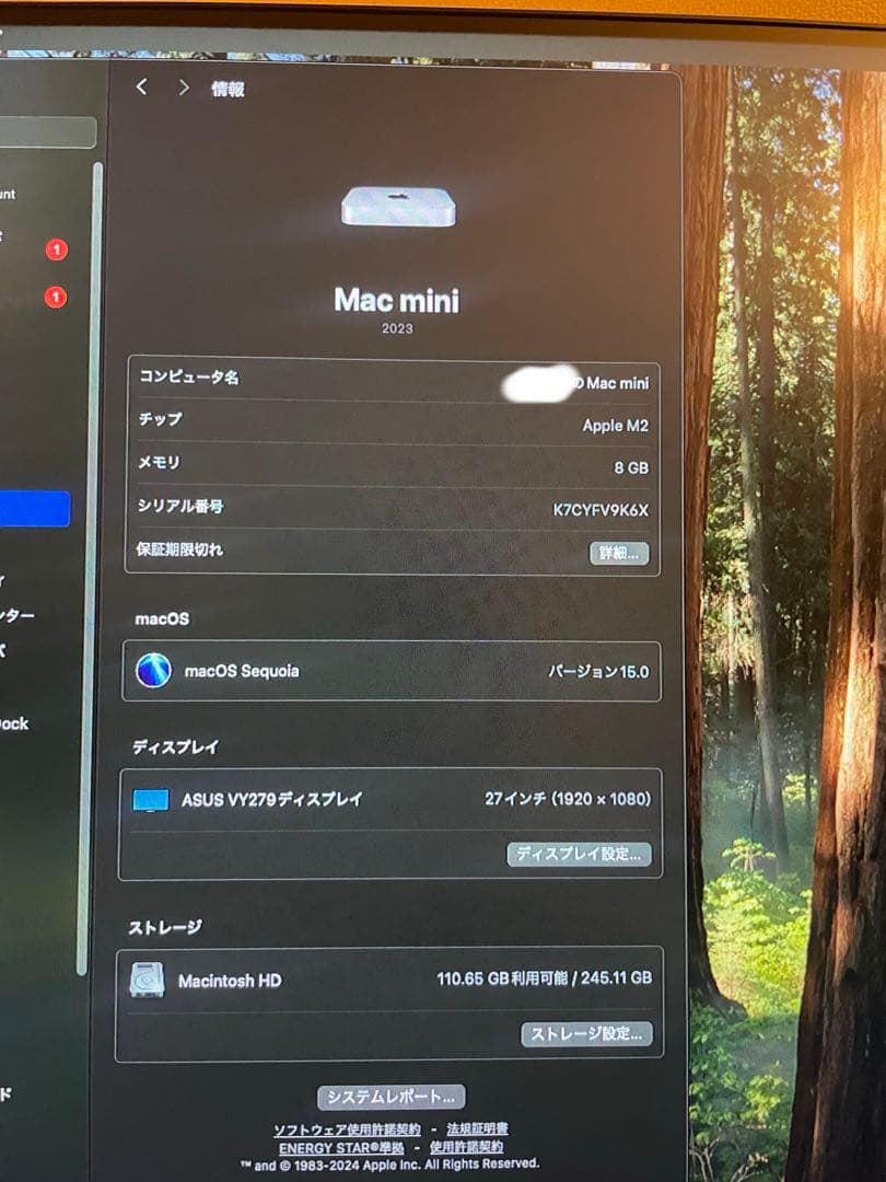 ほぼ未使用　Apple Mac mini M2 2023