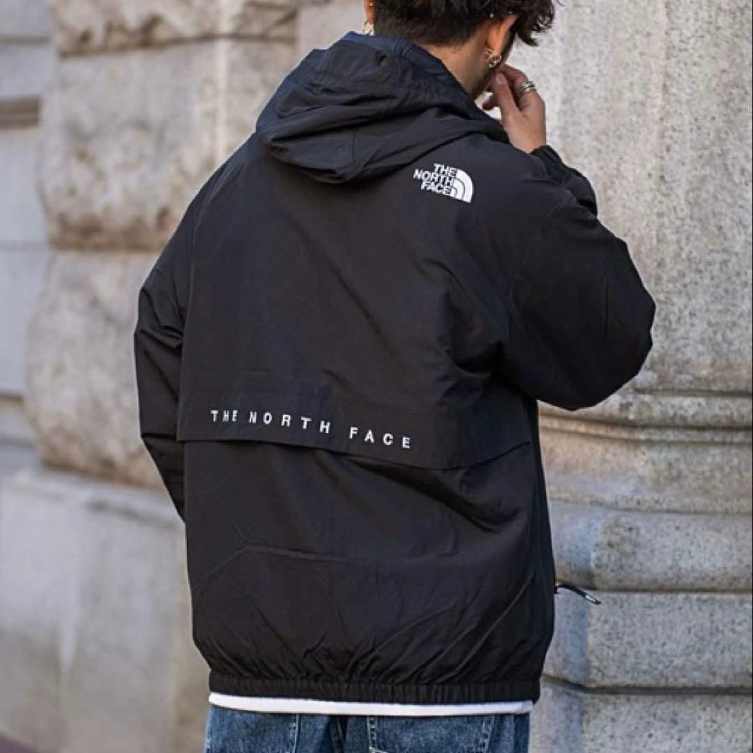 韓国限定✨ノースフェイス VILAN EX JACKET 正規品！Mサイズ