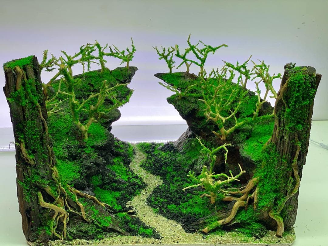 【在庫処分　半額OFF】自然美水景レイアウト – メンテナンス不要で常に緑豊か！