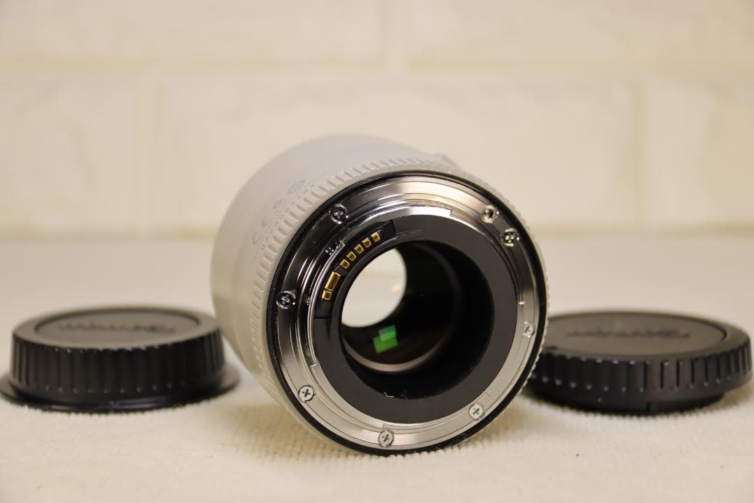 N*N様 Canon　EXTENDER EF2× III【3型・極美品】防湿庫保