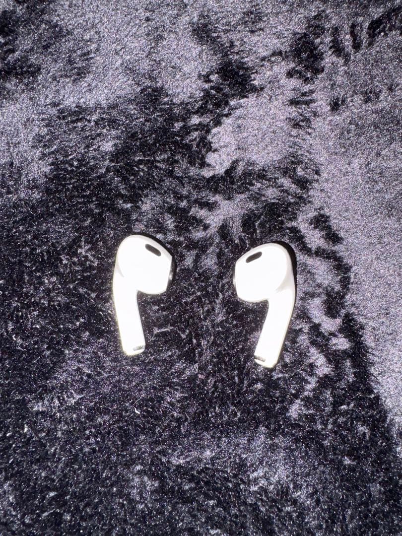 AirPods Pro 2 (Lightning) 本体+充電ケース