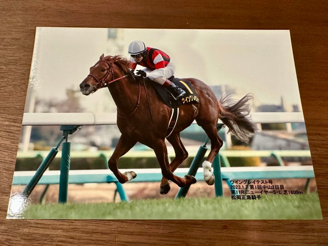 ウイングレイテスト　実使用ゼッケン・ホースレーシングカード・優勝写真（全4勝分）