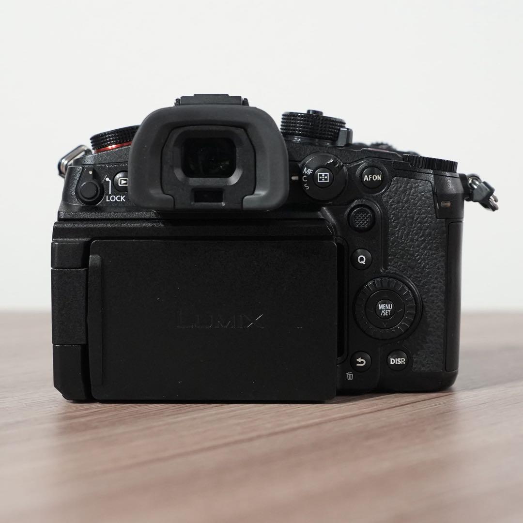 LUMIX GH6 ミラーレス一眼カメラ レンズ・TILTAゲージ付