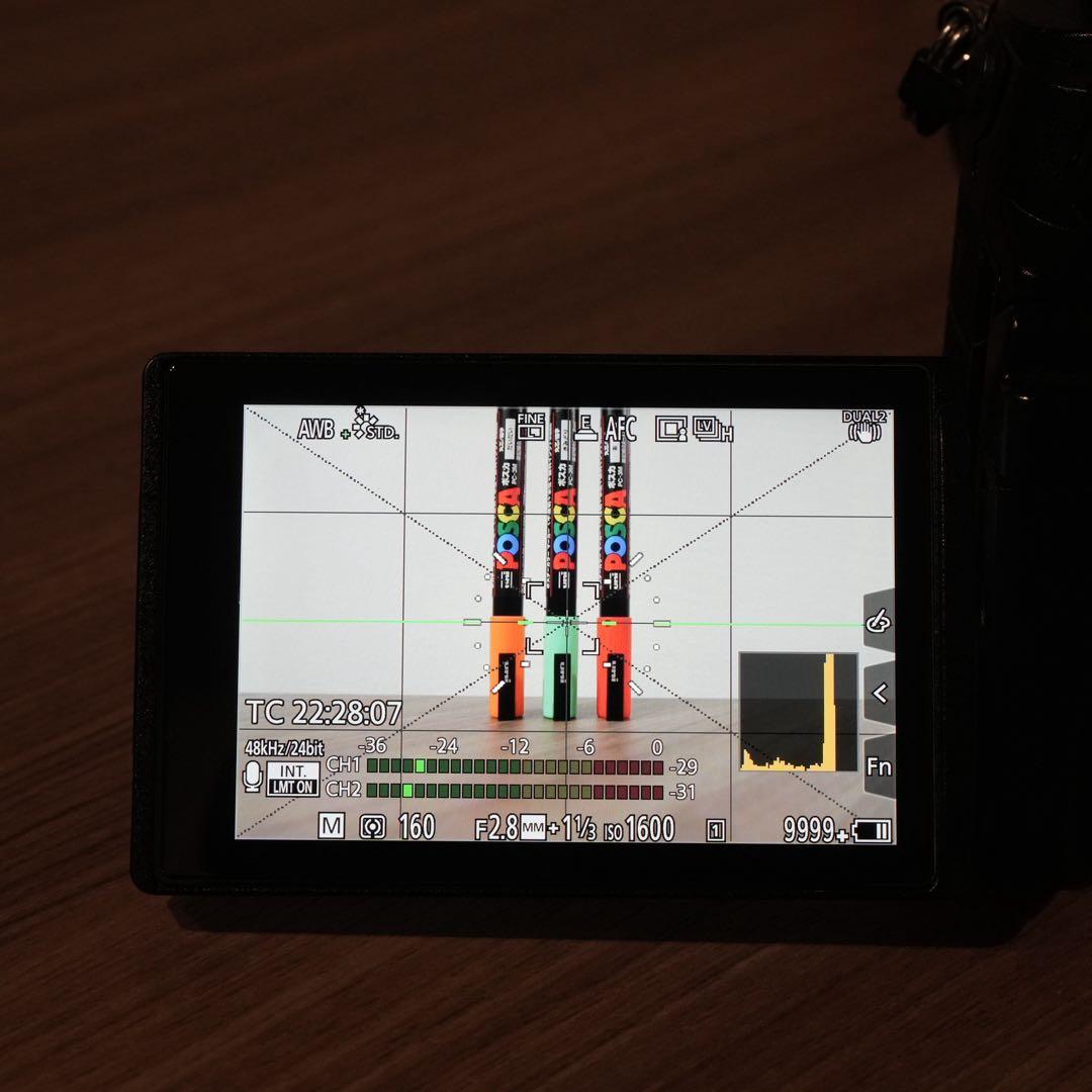 LUMIX GH6 ミラーレス一眼カメラ レンズ・TILTAゲージ付