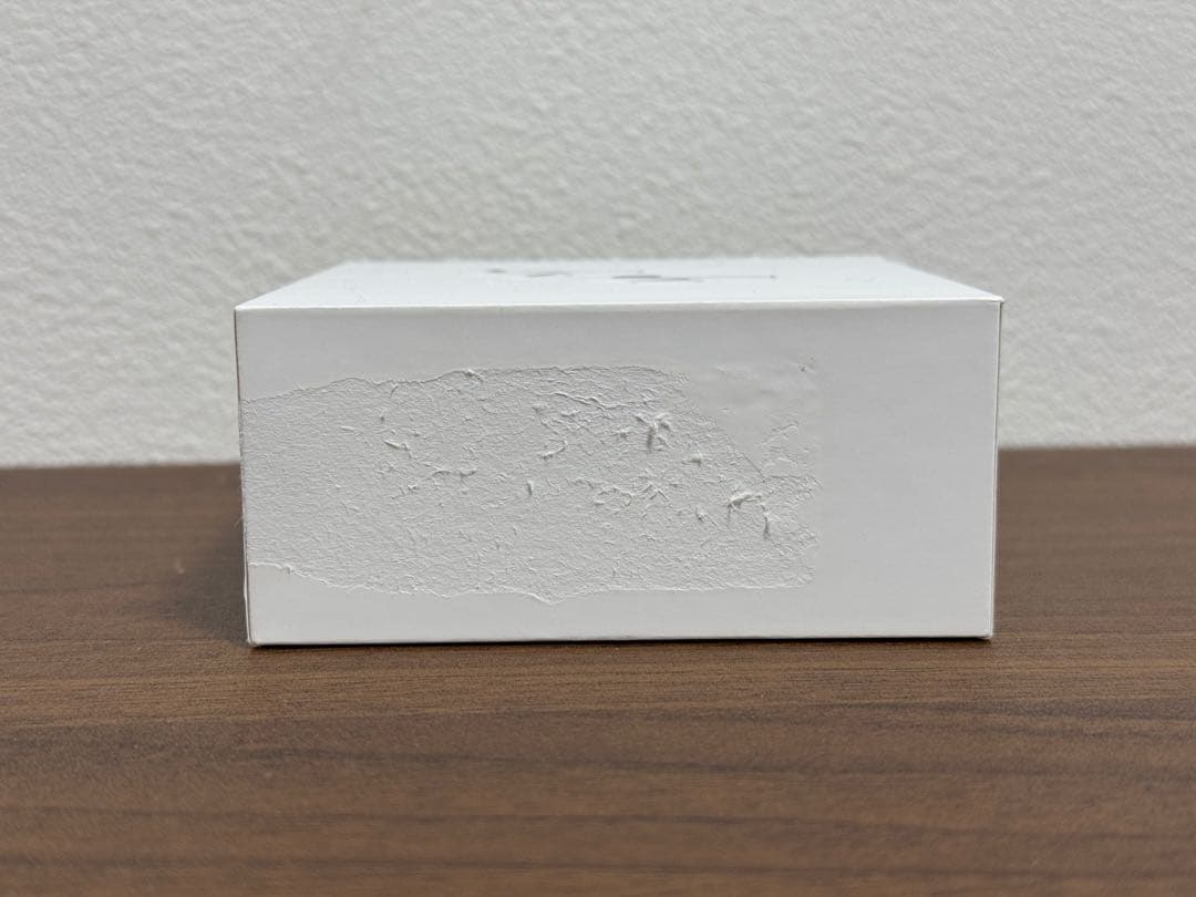 AirPods Pro 2 USB-C AppleCare+付き