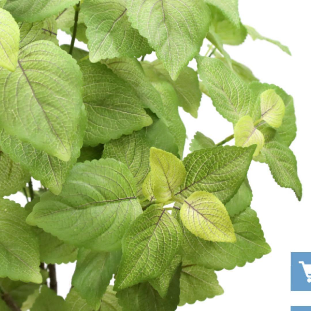 光触媒　人工観葉植物　ウォールグリーン　フェイクグリーン　ペリーラ1.0