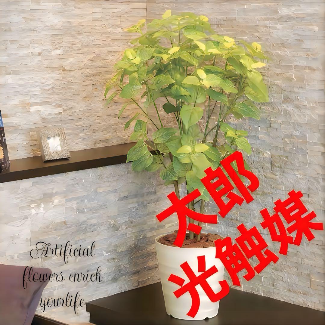 光触媒　人工観葉植物　ウォールグリーン　フェイクグリーン　ペリーラ1.0