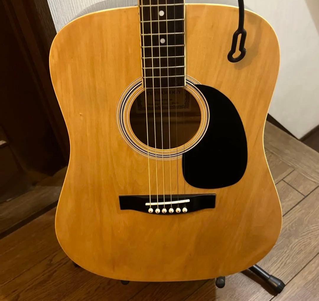 ＜メンテ済み＞SWS FG100 木目アコースティックギター