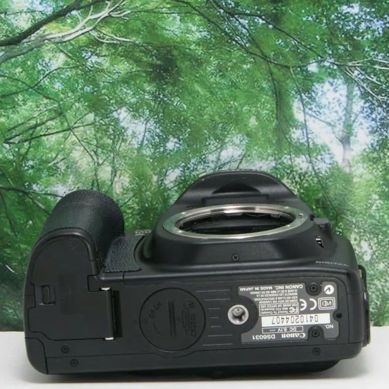 ❤スマホに転送OK✴初心者向き☆美品♪canon EOS 10D♪付属品多数❤