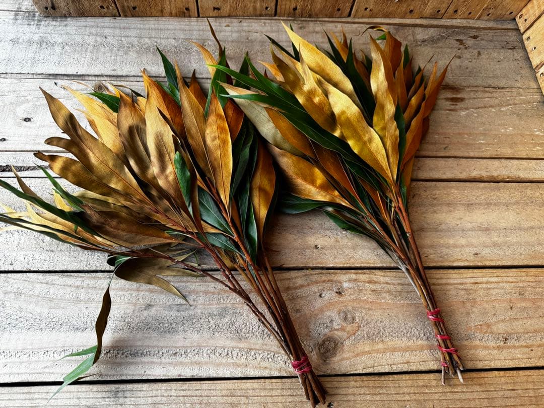 Mu様 リクエスト 6点 まとめ商品