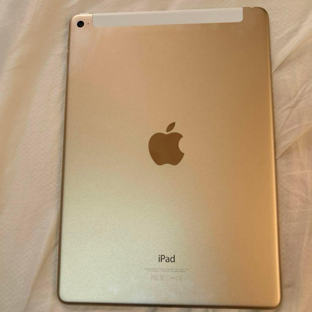 iPad本体 iPad Air 2